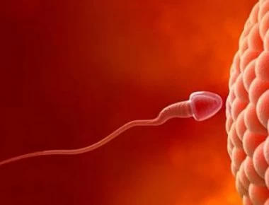 Οι διατροφικές επιλογές που μειώνουν κατά 60% τη γονιμότητα